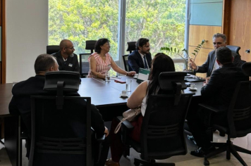 Vereadores participam de reunião no Ministério da Agricultura e Pecuária, em Brasília.