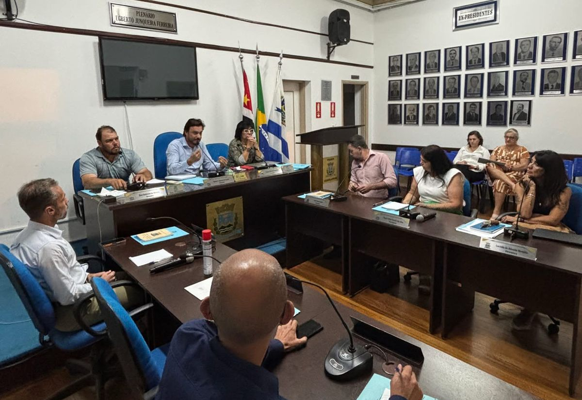Vereadores recebem grupo de mães atípicas para debater desafios e políticas públicas